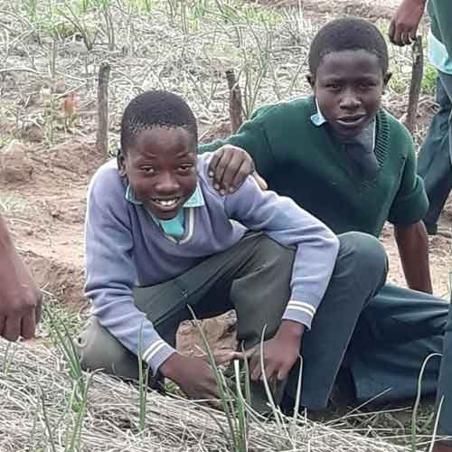 Jungen in Simbabwe bei ihrer Ausbildung im Bereich Landwirtschaft