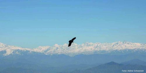 Nepal – dieses kleine Land am Himalaya –  Die faszinierende Bergregion mit ihren vielen schneebedeckten Achttausendern begeistert  jährlich Tausende von sportbegeisterten Touristen aus der ganzen Welt.