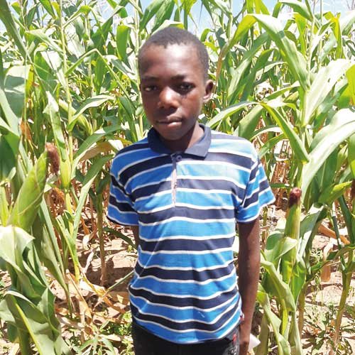 Junge aus Simbabwe im Maisfeld