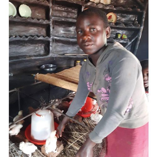 Mädchen aus Simbabwe kümmert sich um die neu aufgebaute Hühnerzucht