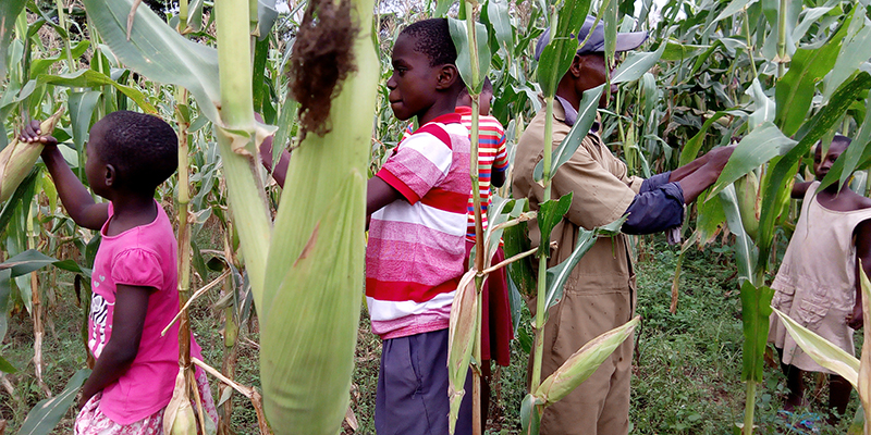 Junge und Mann lernen Landwirtschaft in Uganda